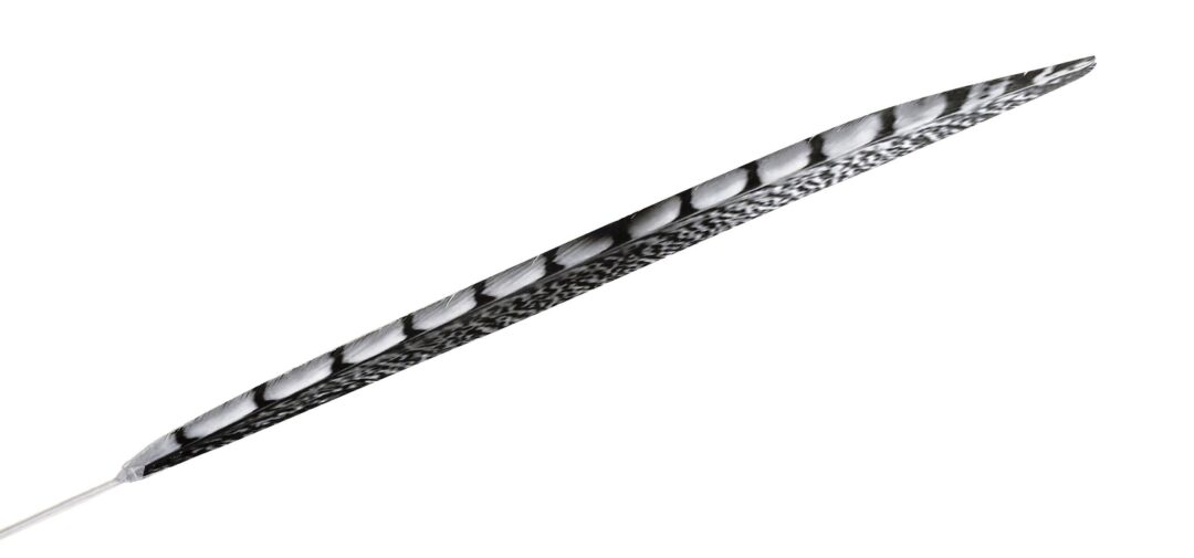 Φτερό μαύρο 70cm Espiel FTE139K6