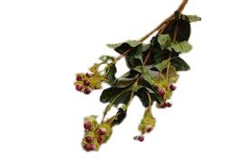 Διακοσμητικό λουλούδι berry φύλλα υπέρικο πράσινο 70cm