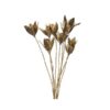 Μπουκέτο natural χρυσό 5x25x60cm