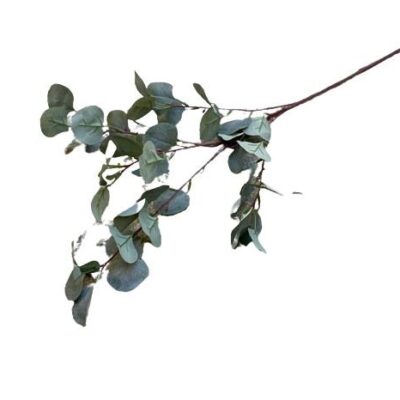 Διακοσμητικό λουλούδι ευκάλυπτος κλαδί γκρι/πράσινο 87cm