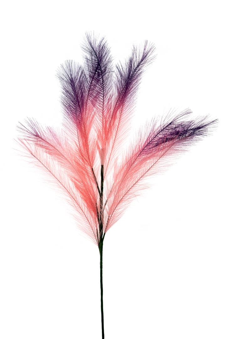 Λουλούδι διακοσμητικό φτέρη ροζ/μωβ 65cm