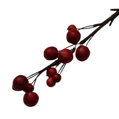 Διακοσμητικό λουλούδι berry χοντρό κόκκινο 43cm