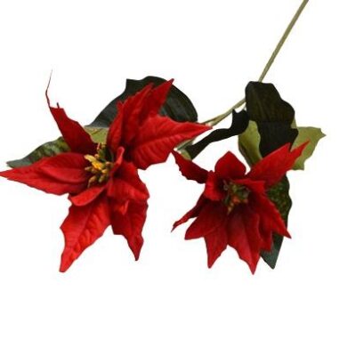 Διακοσμητικό λουλούδι αλεξανδρινό 2κλωνο κόκκινο 49cm