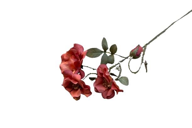 Διακοσμητικό λουλούδι τριαντάφυλλο κοραλί 60cm