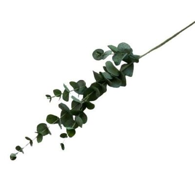 Διακοσμητικό λουλούδι ευκάλυπτος κλαδί πράσινο 80cm
