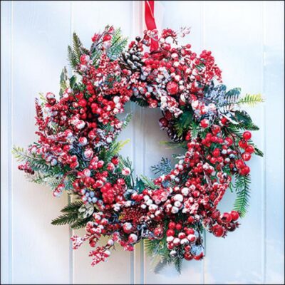Σετ 20 Χαρτοπετσέτες Frozen Wreath πολύχρωμες 33x33cm Marva 33314625
